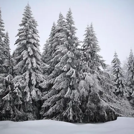 Michaela * Sankt Englmar